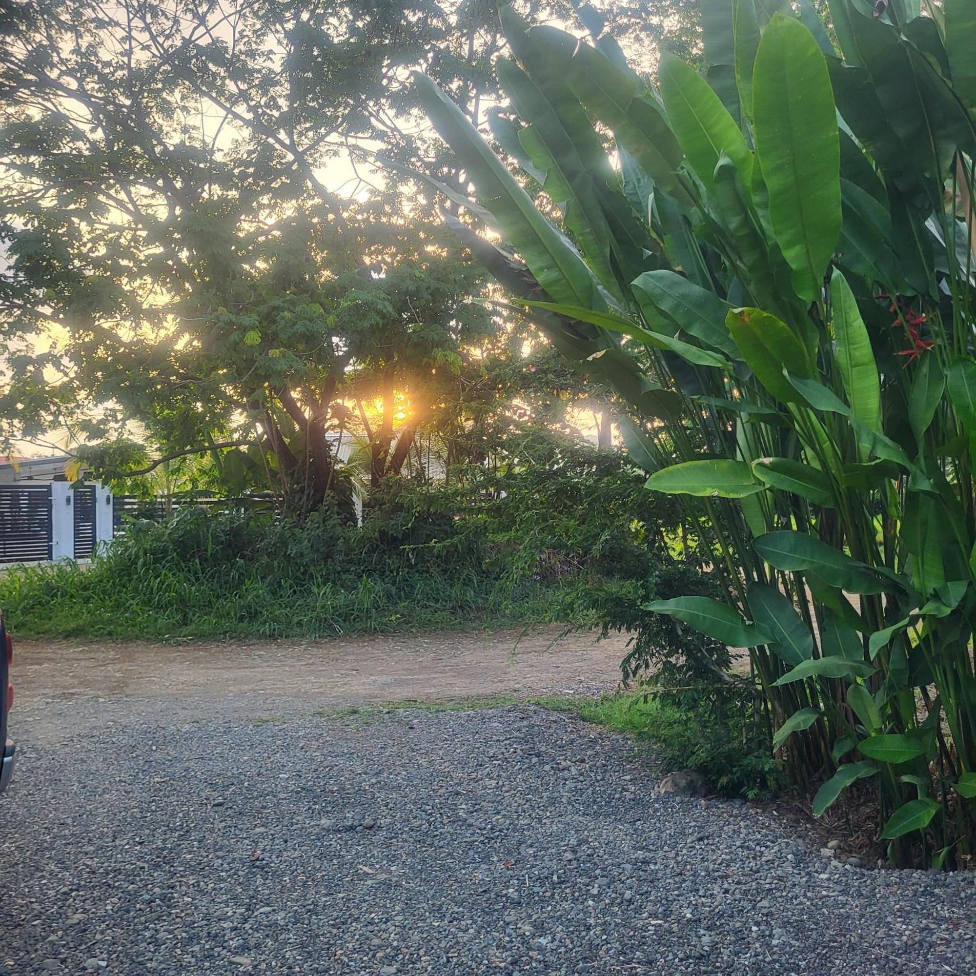 Bed and Breakfast Madre Terra Uvita Exteriér fotografie